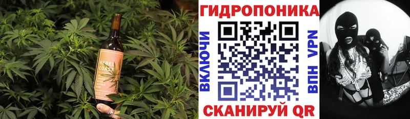 Cannafood конопля  кракен вход  darknet телеграм  Тогучин 
